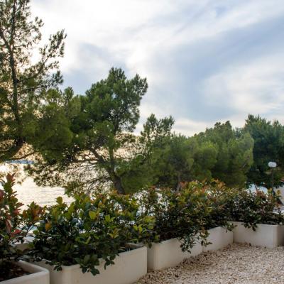 Apartman More Pogled4