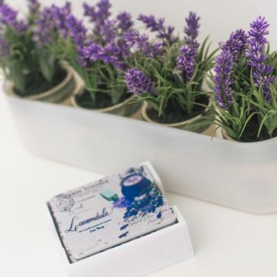 Apartman Lavanda 14 Of 35