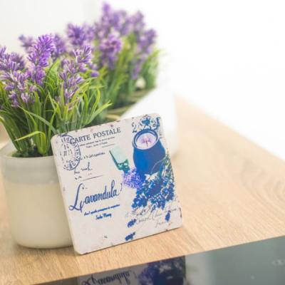 Apartman Lavanda 28 Of 35