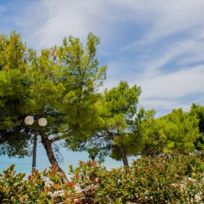 Apartman Lavanda Pogled 1